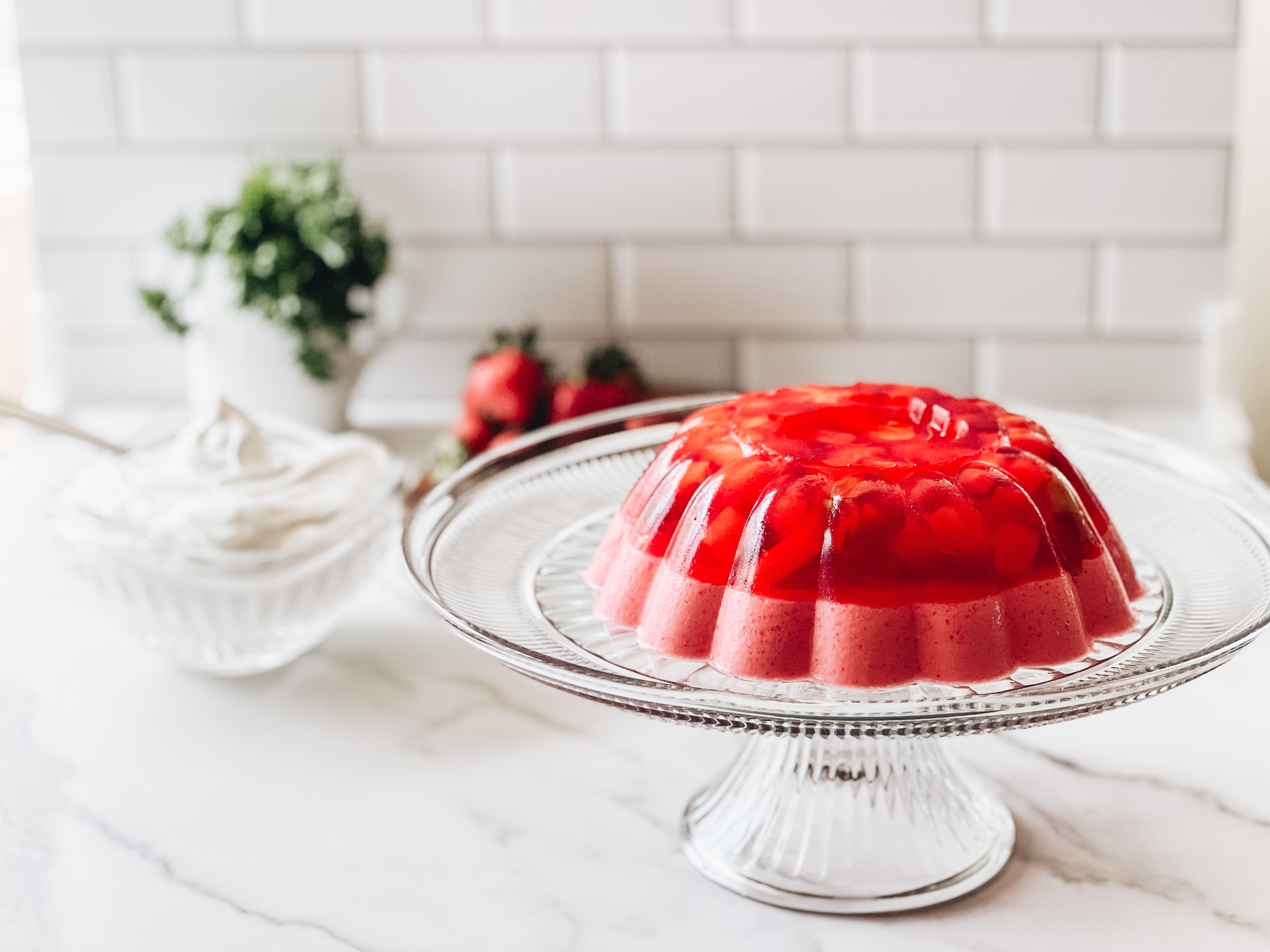 Zero Sugar Layered Creamy Fruity Jello Mold