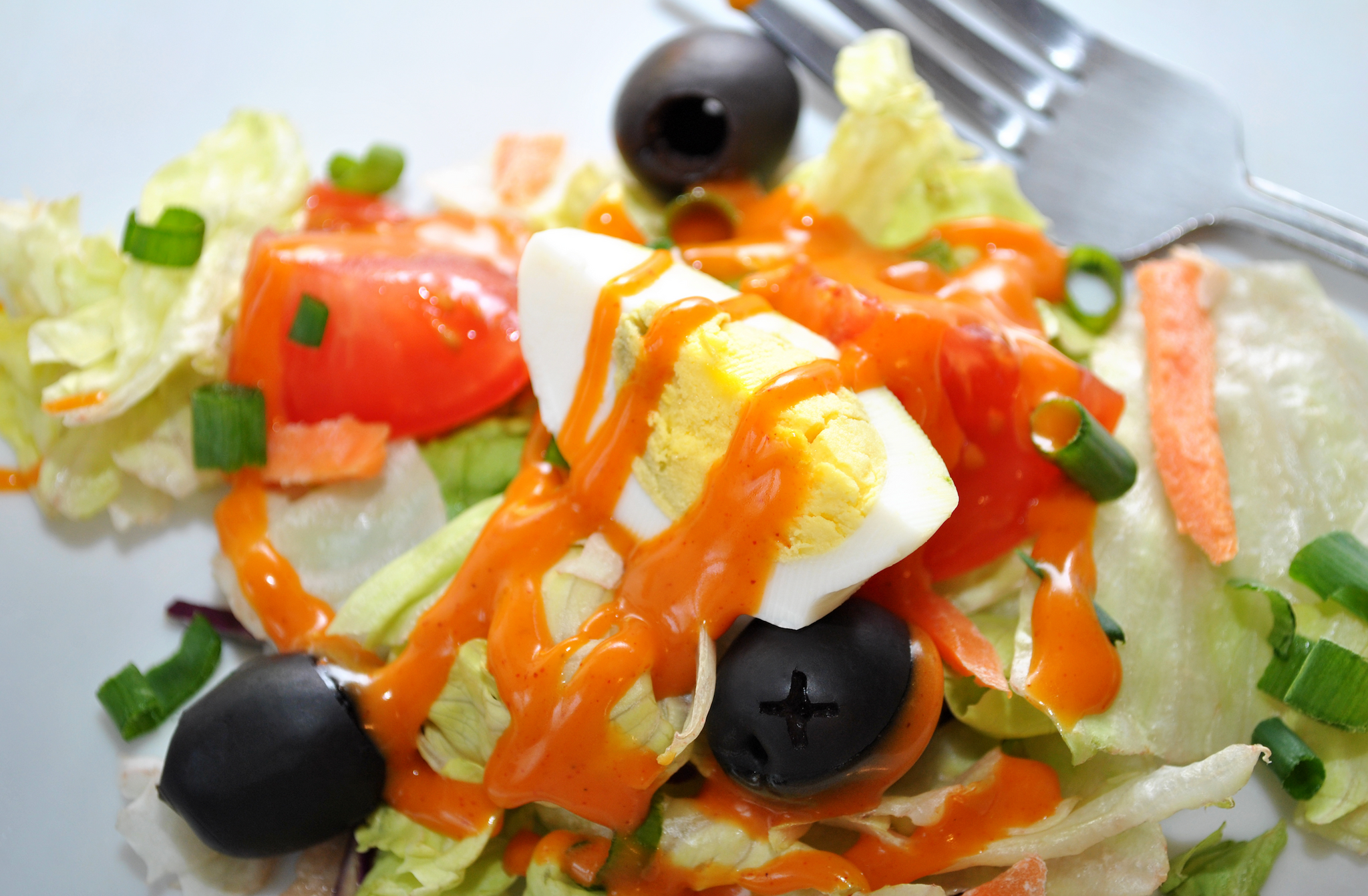 Salad with lettuce, tomato, olives, green onions, and a sliced boiled egg topped with orange dressing.