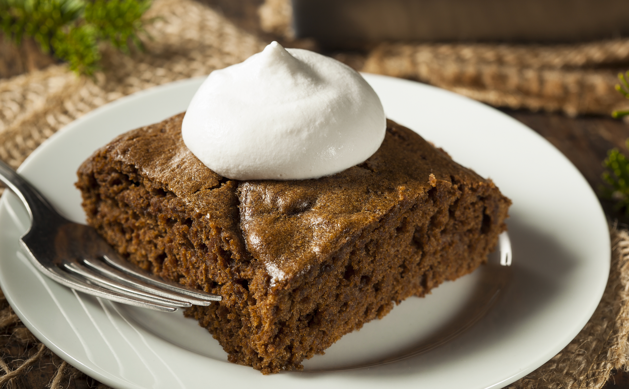 Slice of gingerbread cake topped with whipped cream on a white plate.