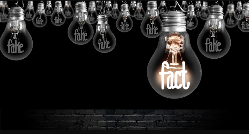 A row of dark bulbs labeled ‘fake’ surrounds one lit bulb labeled ‘fact’ glowing brightly in the center.