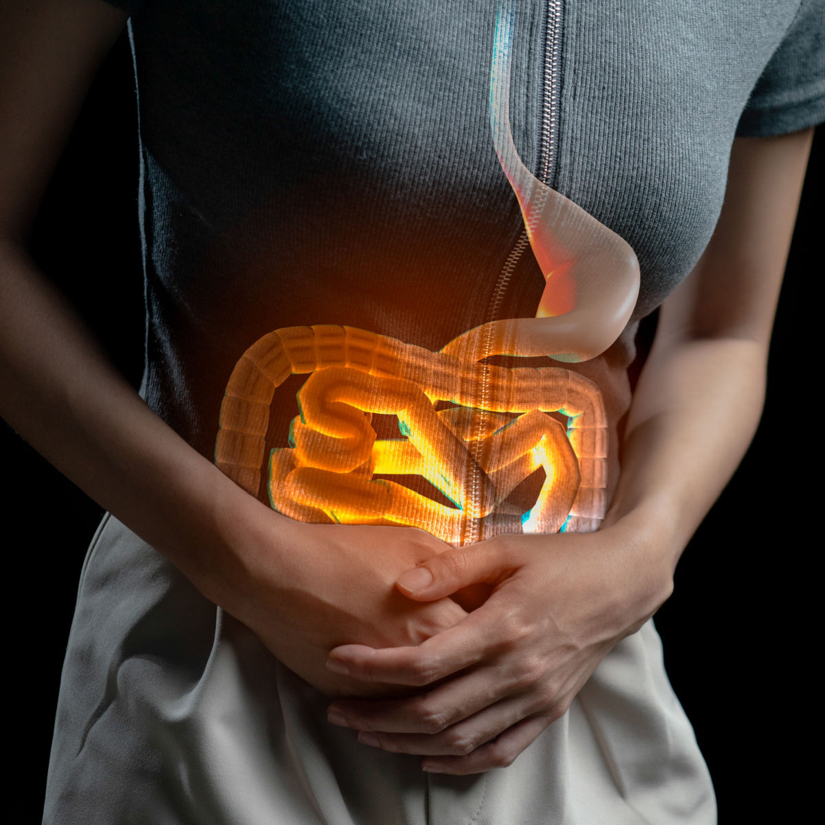 A person in a gray shirt holds their stomach, with a glowing, transparent representation of intestines and digestive processes visible through their midsection against a dark background.