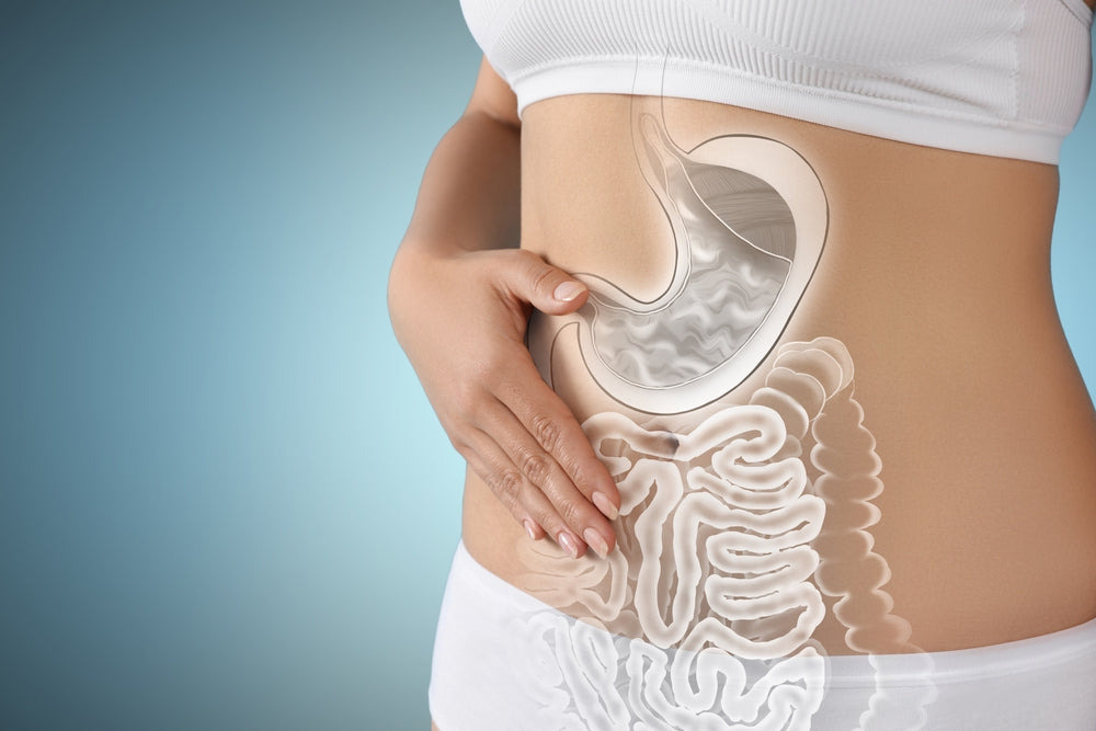 A person in a white top gently holds their stomach, with a transparent illustration of the digestive system overlaid, set against a soft blue background.