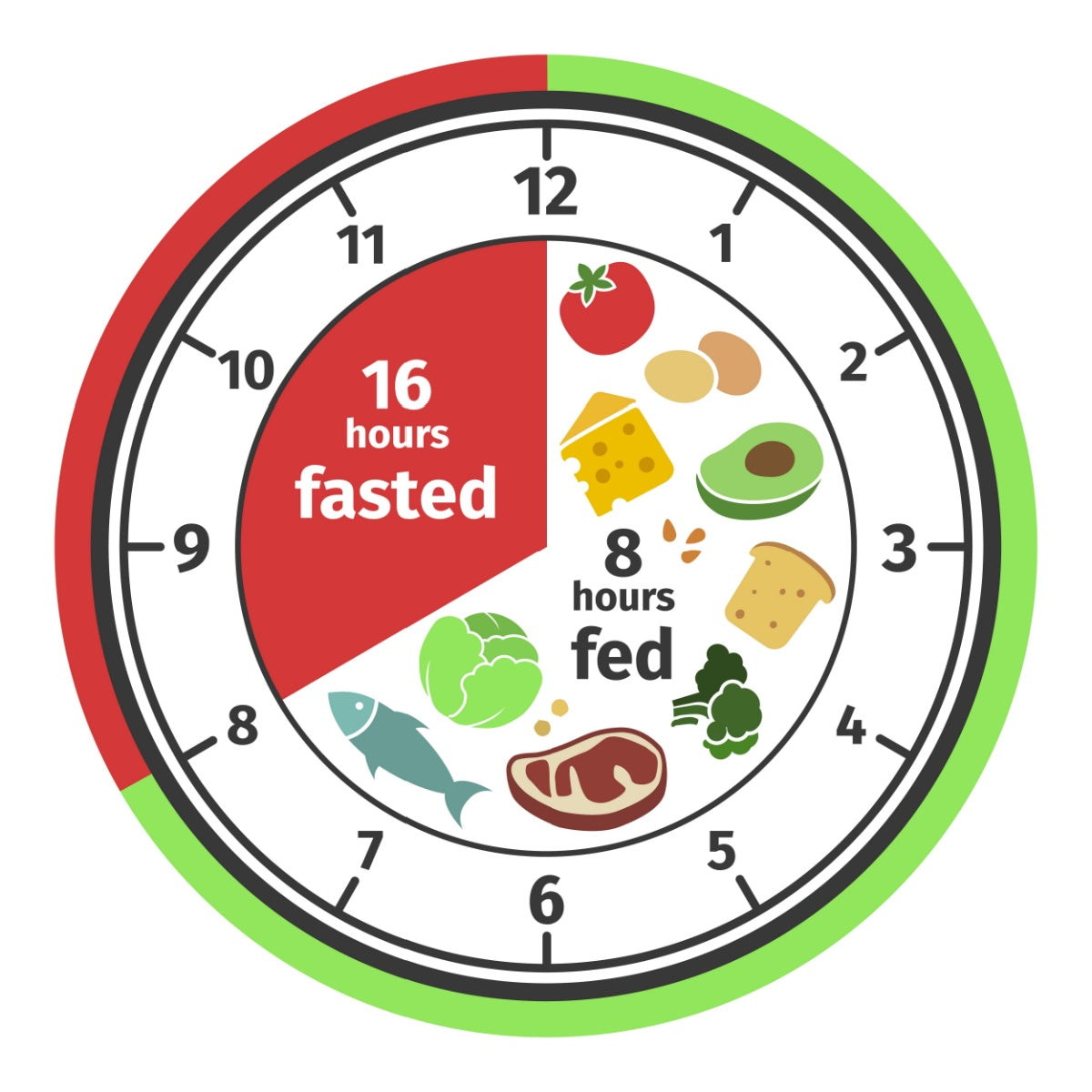 A circular clock graphic shows a divided time chart for intermittent fasting, with 16 hours marked in red for fasting and 8 hours in green for feeding, surrounded by various food illustrations.