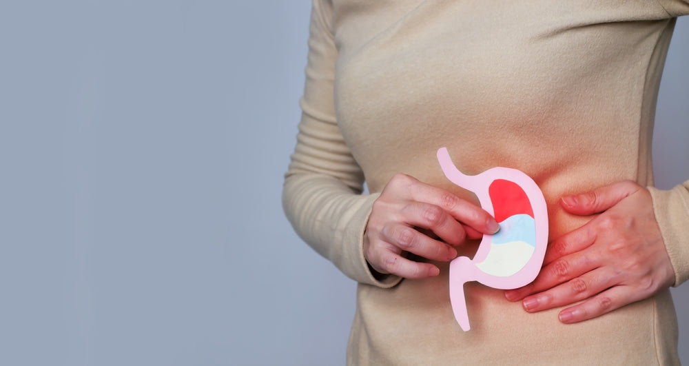 A person in a beige top holds a colorful paper model of a stomach while gently pressing on their abdomen, suggesting a focus on digestive health or discomfort.