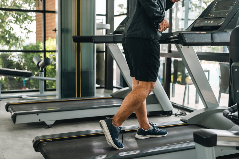 A person in athletic wear walks on a treadmill inside a bright gym with large windows, surrounded by exercise equipment and greenery outside.