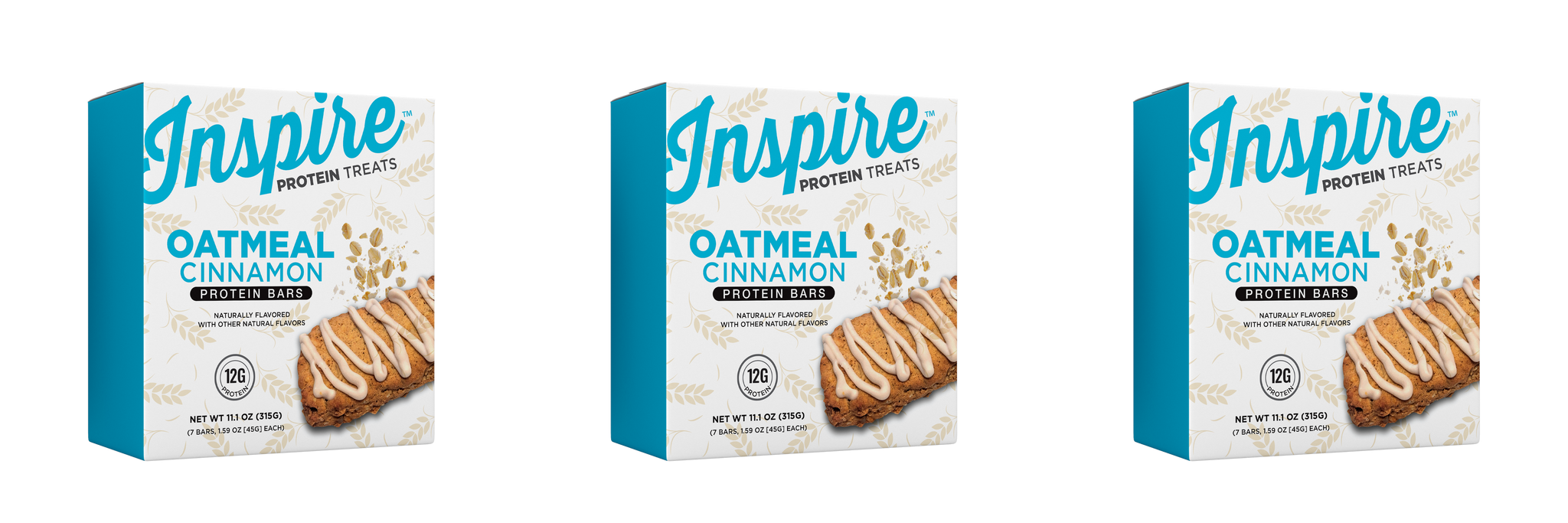 Inspire High Protein Bars by Bariatric Eating - Oatmeal Cinnamon
